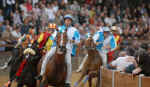 Palio dei Rioni, Castiglio Fiorentino